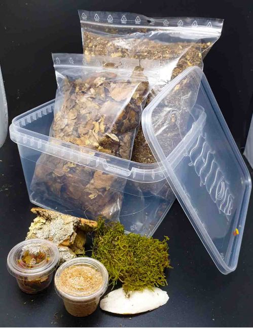 Kit de démarrage Isopodes