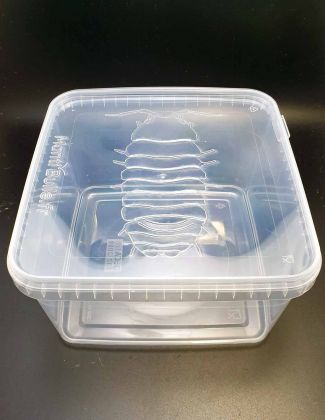 Boîte carrée Isopodes 3L