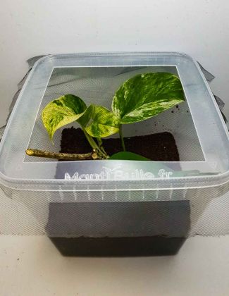 Boîte 5 Litres aménagée 2
