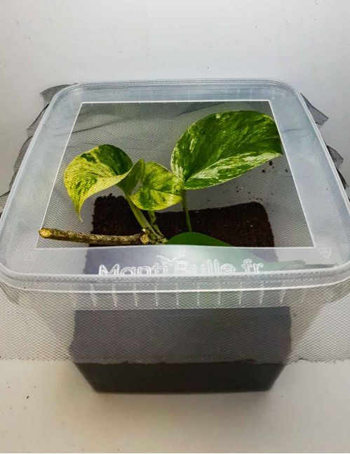 Boîte 5 Litres aménagée