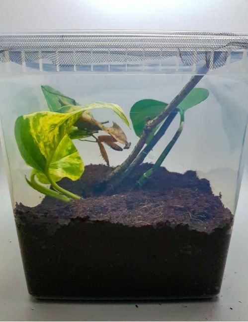 Boîte 5 Litres aménagée