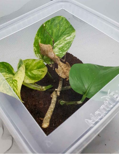 Boîte 5 Litres aménagée