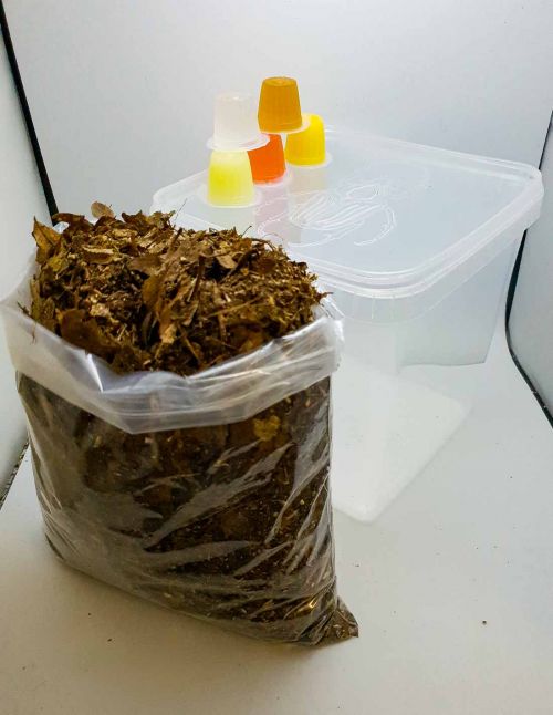 Kit de démarrage Coléoptère