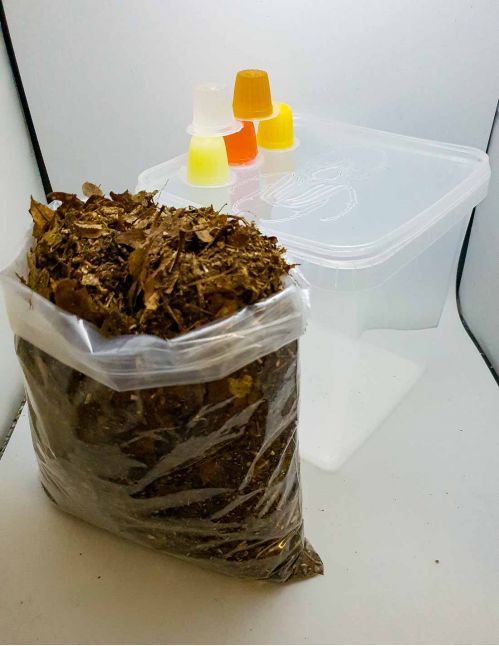 Kit de démarrage Coléoptère