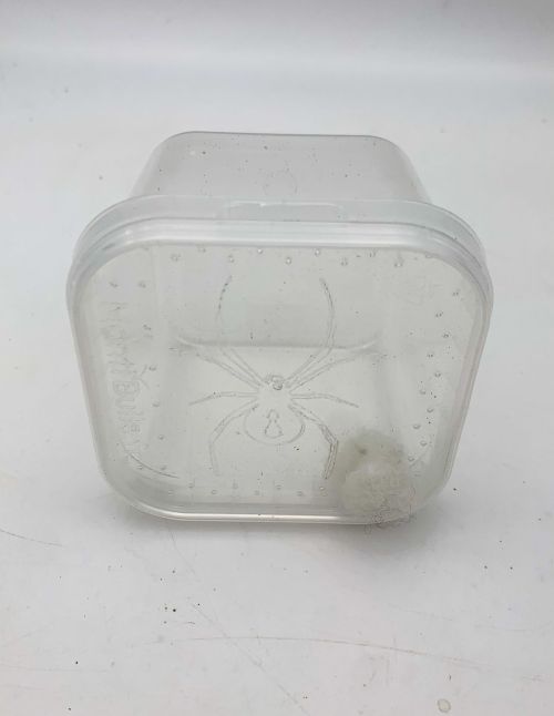 Boîte carrée 0,25L