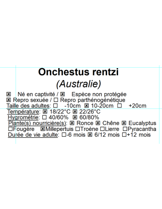 Onchestus rentzi 2
