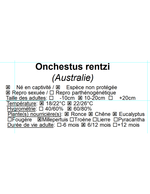 Onchestus rentzi
