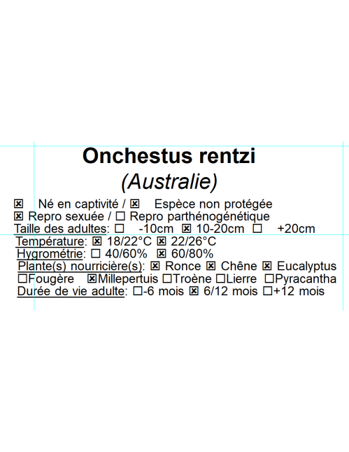 Onchestus rentzi