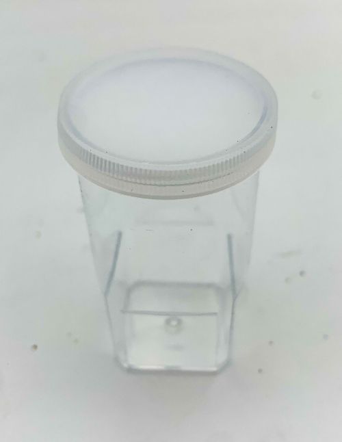 Boite élevage Araignées