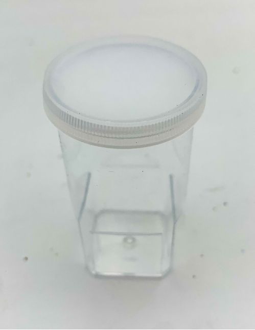 Boite élevage Araignées