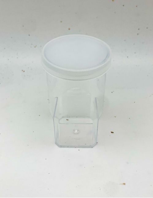 Boite élevage Araignées