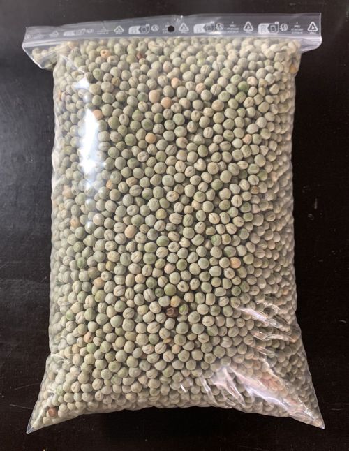 Pois vert pour puceron