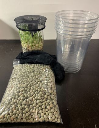 Pack de démarrage : Élevage de pucerons