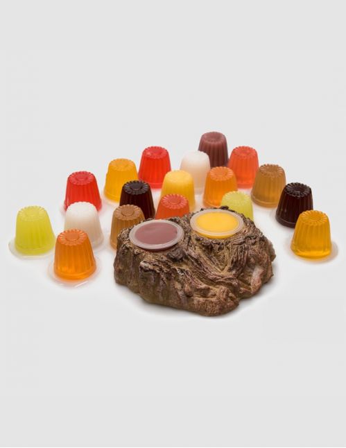 Support double bettle jelly