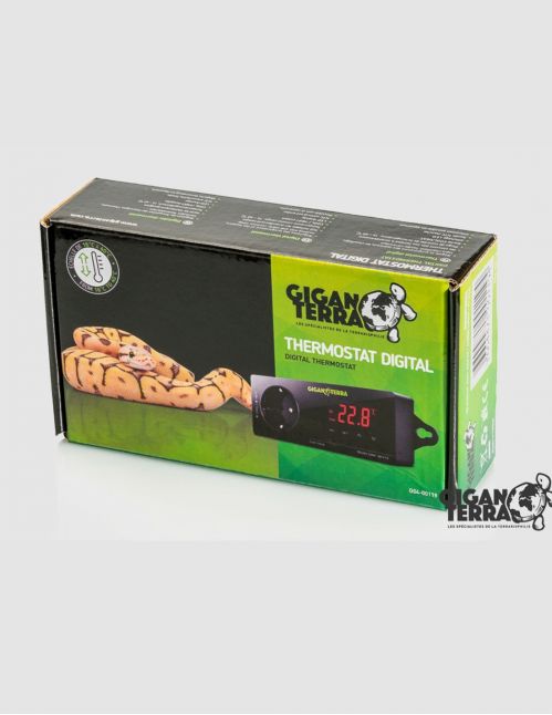 Thermostat digital