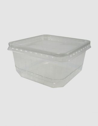 Boite grillons vide Aménagée 2