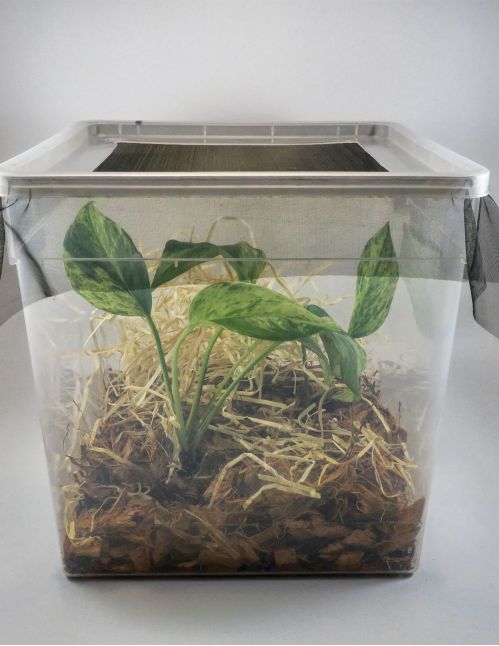 Braplast 5.6L Aménagée