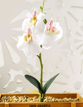 Orchidée artificielle avec feuilles blanche
