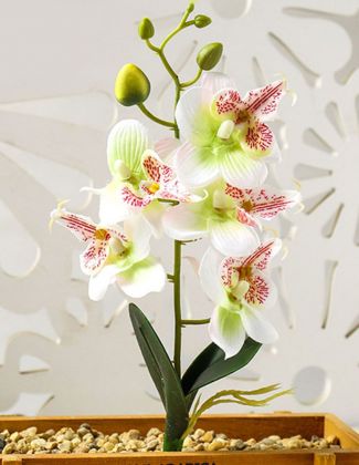 Orchidée artificielle avec feuilles blanche 2