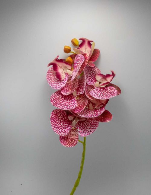 Orchidée Artificielle XXL