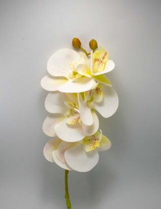 Orchidée Artificielle XXL 2
