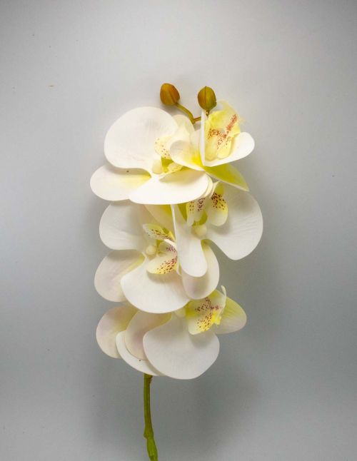 Orchidée Artificielle XXL