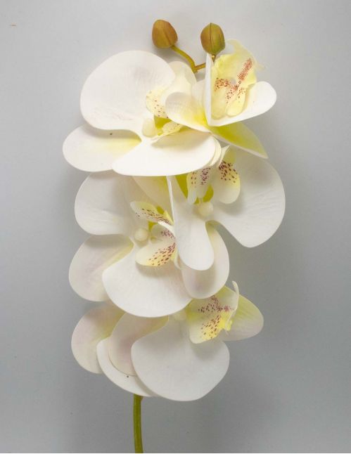 Orchidée Artificielle XXL