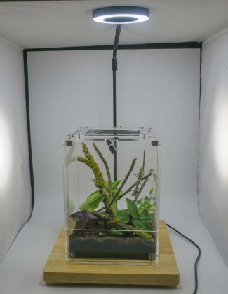 Éclairage LED avec support en bois 2