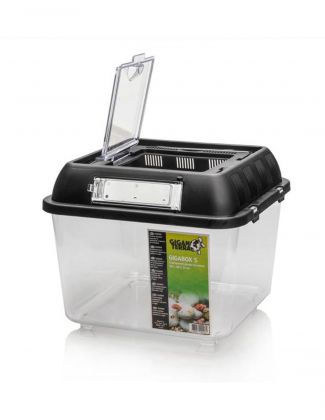 Terrarium plastique 20x20x17 CM 2