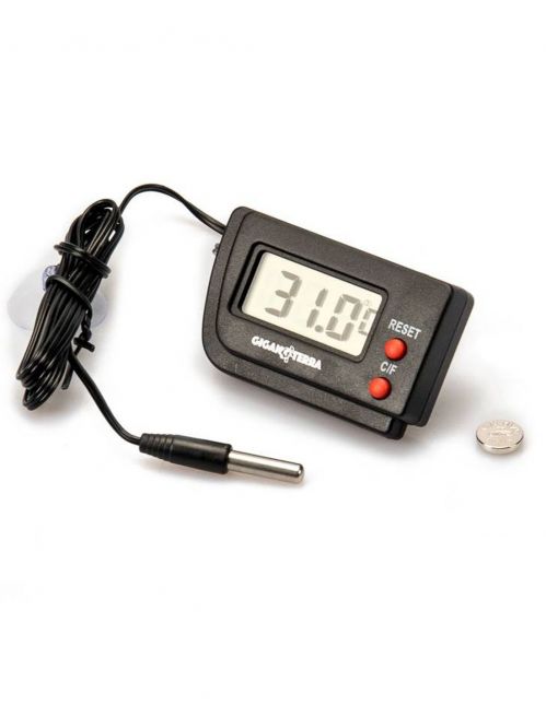 Thermomètre digital