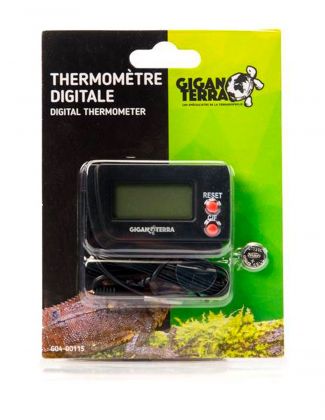 Thermomètre digital 2