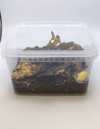 Boîte carrée 3,0L 2