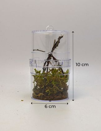 Critter Box - Boîte d'élevage 2