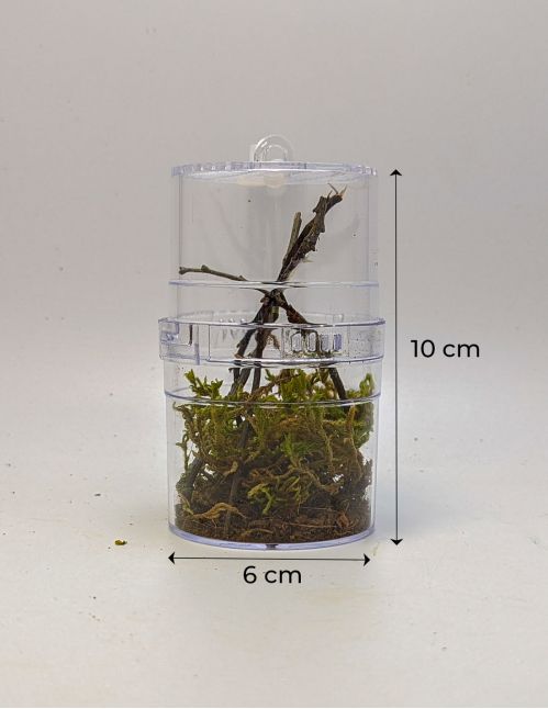 Critter Box - Boîte d'élevage