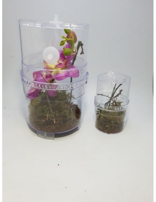 Critter Box - Boîte d'élevage