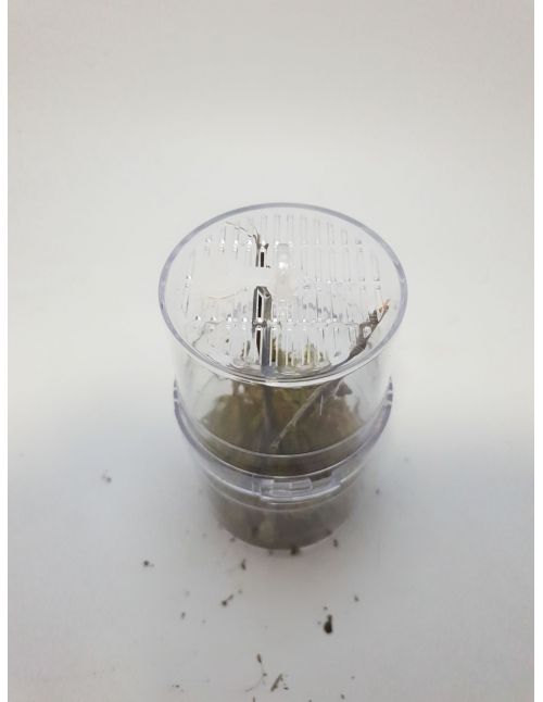 Critter Box - Boîte d'élevage