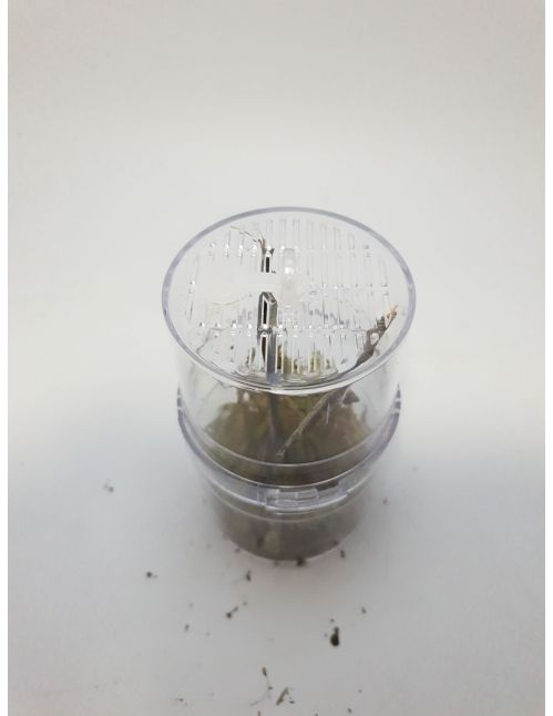 Critter Box - Boîte d'élevage