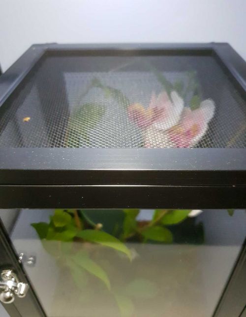 Flexarium Open Air PRO