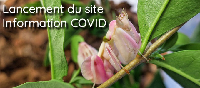 Sortie du site - Informations COVID